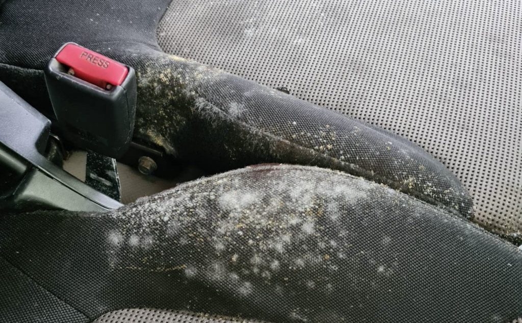 Car Mould Removal Yorkshire